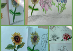 Szkice i kolorowe rysunki kwiatów. Zestawienie prac dzieci z oryginalnymi obrazkami. Prace wykonane w grupie IV pod opieką Pani J. Zach.