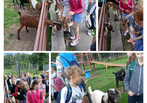 Zwiedzanie zoo, uczniowie poznawali egzotyczne gatunki zwierząt