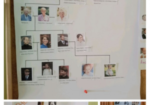 Drzewa genealogiczne