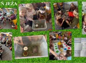 Dzień Jeża w klasie II b