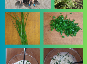 Śniadanie bogate w produkty mleczne ze smacznym dodatkiem, szczypiorkiem z własnej hodowli klasy 3b