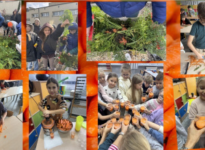 Zbiory w klasie 2 b – kubek pełen witamin!