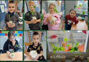 Dzieci z klasy 2a trzymają w rękach słoiki z wyhodowaną przez siebie fasolą.