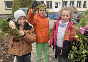 Antek, Bolek i Liwia prezentują swoje marchewkowe zdobycze.