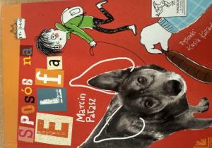 Okładka książki "Sposób na Elfa" M. Pałasz