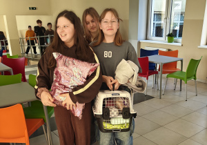 Poszewka na poduszkę i transporter dla kota jako szkolne plecaki