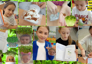 Zdjęcie przedstawia uczniów klasy 2a podczas zajęć przyrodniczych. Dzieci sieją nasiona rzeżuchy. Dwie uczennice trzymają w rękach wykonane wcześniej dzienniczki hodowli rośliny.