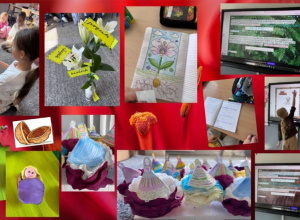 Andersen inspiruje klasę 2 b