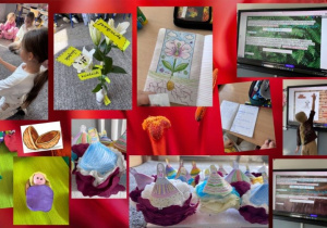 Zestaw zdjęć przedstawia prace plastyczne uczniów – Calineczkę w łupince orzecha oraz papierową postać bohaterki umieszczoną na kwiatku. Na kolejnych ujęciach widoczne są dzieci pracujące przy tablicy multimedialnej, na której wyświetlona jest treść zadań z bajki matematycznej. Dodatkowo dzieci przyklejają do żywego kwiatu lilii karteczki z nazwami jego części budowy.