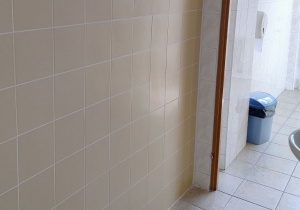 Odmieniona toaleta dziewcząt
