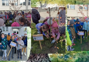 Zdjęcie przedstawia kolaż zdjęć uczniów klasy Ia oraz Ic podczas sadzenia drzewa.
