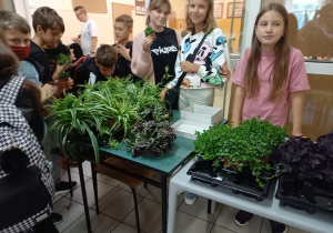 Uczennice ze szkolnej sekcji wolontariatu sprzedające rośliny dostarczone przez Państwa Turskich, akcja na rzecz Oliwii Krzemińskiej.