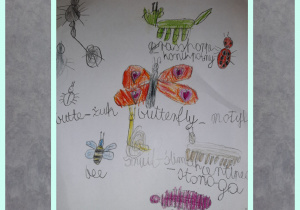 Kolorowe owady i podpisy w języku angielskim. Prace wykonane w gr. I przez uczniów klas I i II.