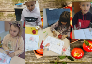 Dzieci podczas pracy w zeszycie. Uczniowie opisywali wygląd jabłka, układali obrazki dotyczące jego cyklu rozwoju w odpowiedniej kolejności.