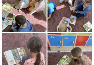 Uczniowie oglądają książki o zwierzętach.