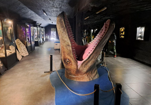 Głowa dinozaura w muzeum, w Bałtowie.