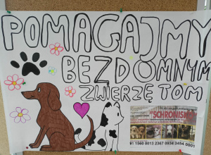 Akcja charytatywna dla bezdomnych zwierząt